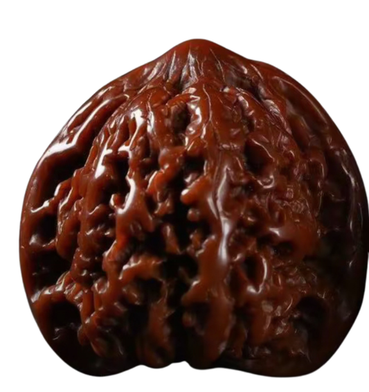 Starlush Walnuts